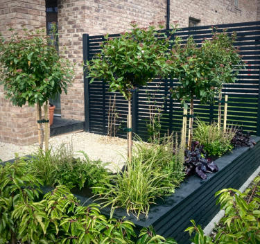 Florent Gardens Landscaping and Garden Design Glasgow Our Work 51